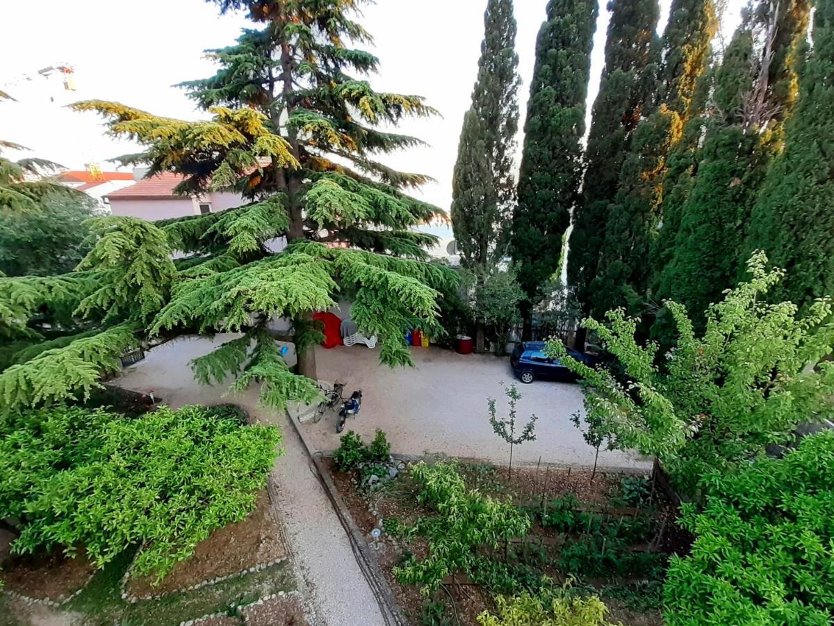 Villa Libe Baska Voda Exterior photo