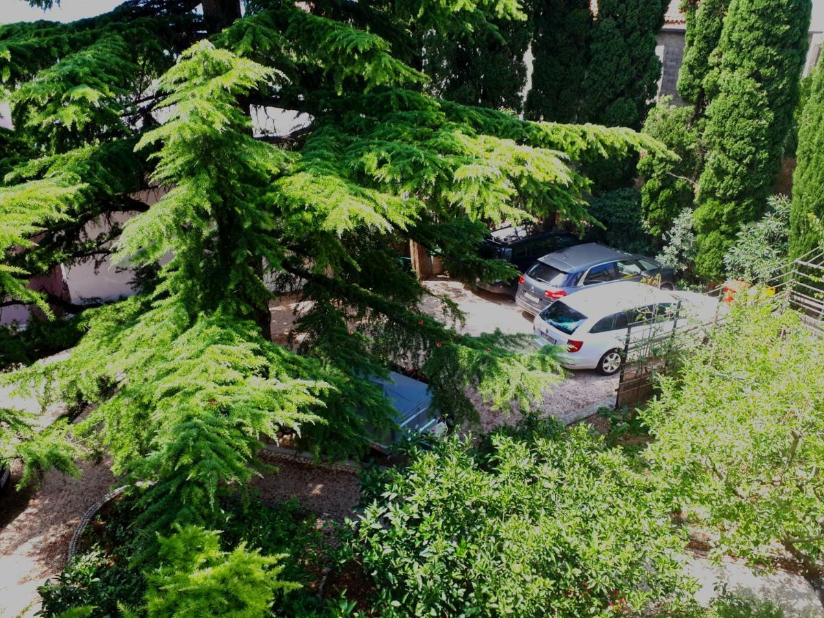 Villa Libe Baska Voda Exterior photo